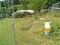 IMG_20260617_083332