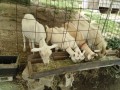 IMG_20260617_084955