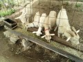 IMG_20260617_085002
