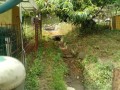 IMG_20260617_085018