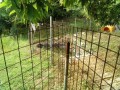 IMG_20260617_085044