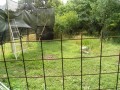 IMG_20260617_085046