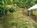 IMG_20260617_085054