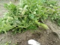 IMG_20260617_163030
