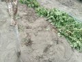 IMG_20260617_172714