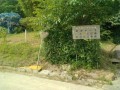 IMG_20260618_092828