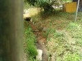IMG_20260618_093449