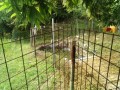 IMG_20260618_093521