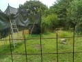 IMG_20260618_093524