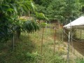 IMG_20260618_093535