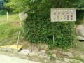 IMG_20260619_092715