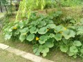IMG_20260619_092802