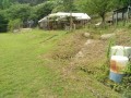 IMG_20260619_092839