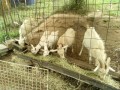 IMG_20260619_093531