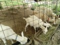 IMG_20260619_093548