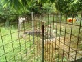 IMG_20260619_093647