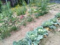 IMG_20260619_122935