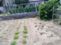 IMG_20260619_122941