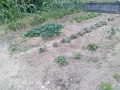 IMG_20260619_122944