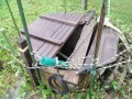 IMG_20260620_085556