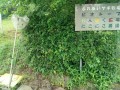 IMG_20260620_085602