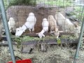 IMG_20260620_090154