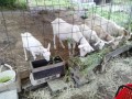 IMG_20260620_090210