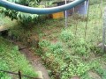 IMG_20260620_090216