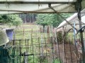 IMG_20260620_090251