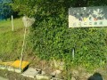 IMG_20260621_072612