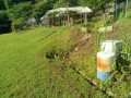 IMG_20260621_072639