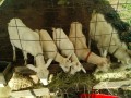 IMG_20260621_072858