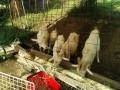 IMG_20260621_072905