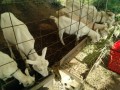 IMG_20260621_072923