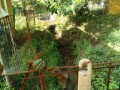 IMG_20260621_072928