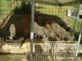 IMG_20260621_073005