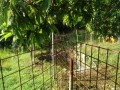 IMG_20260621_073024