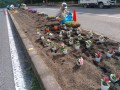 IMG_20260621_082321