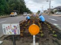 IMG_20260621_082433