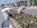 IMG_20260621_082547