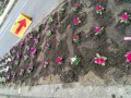 IMG_20260621_084537