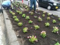 IMG_20260621_084637