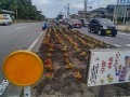 IMG_20260621_084705