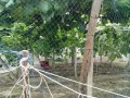 IMG_20260621_112617