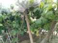 IMG_20260621_112627