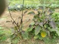 IMG_20260621_112630