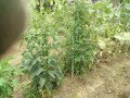 IMG_20260621_112634