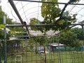 IMG_20260621_123436