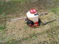 IMG_20260621_123456
