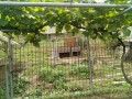 IMG_20260621_123459